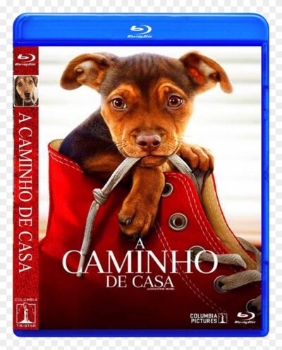 A Caminho de Casa Blu ray  Dublado e legendado