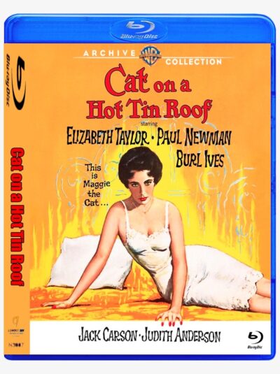 Gata em Teto de Zinco Quente - 1958 Blu ray Dublado e legendado