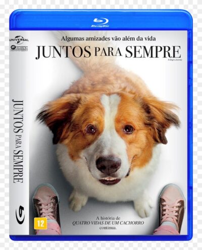 Junntos para sempre Blu Ray Dublado E Legendado