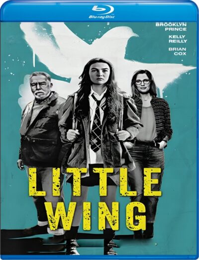 Little Wing 2024 Blu-ray Dublado Legendado