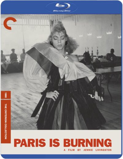 Paris Está em Chamas (Paris (1966) Blu-ray Dublado Legendado