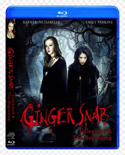 Possuida 1 Blu-ray Dublado Legendado