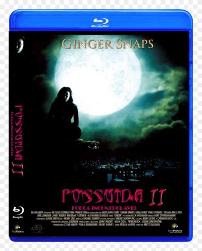Possuida 2 Blu-ray Dublado Legendado